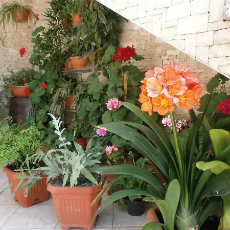 Two-bedroom 1 Rovinj